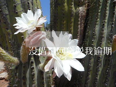 没借过网贷说我逾期 没借过网贷说我逾期