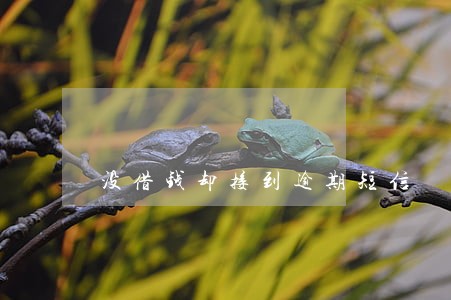 没借钱却接到逾期短信 没借钱却接到逾期短信