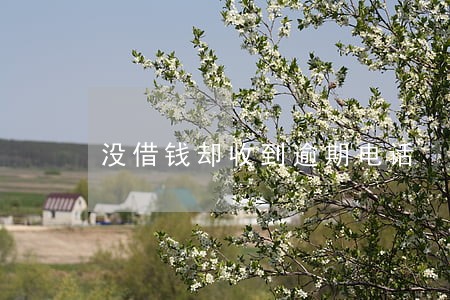 没借钱却收到逾期电话 没借钱却收到逾期电话