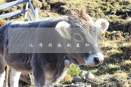 没借钱接到通知账单逾期了