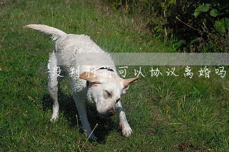 没判刑前可以协议离婚吗 没判刑前可以协议离婚吗