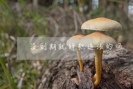 没到期就辞职违法的吗 没到期就辞职违法的吗