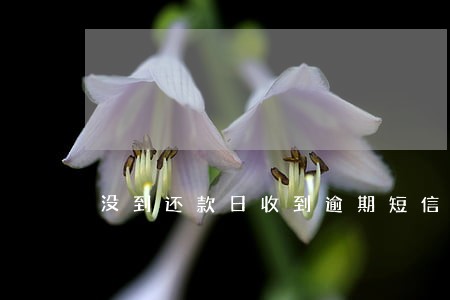 没到还款日收到逾期短信 没到还款日收到逾期短信