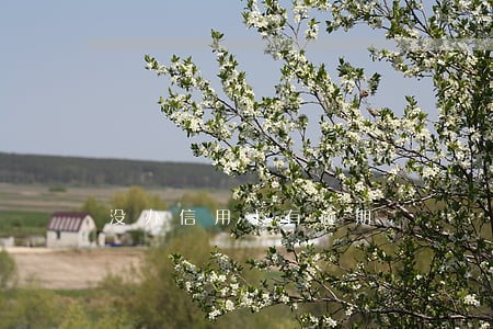 没办信用卡有逾期 没办信用卡有逾期