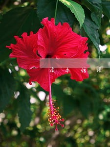 没办信用卡说我信用卡逾期 没办信用卡说我信用卡逾期