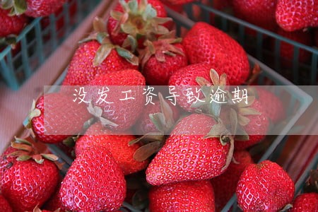 没发工资导致逾期 没发工资导致逾期