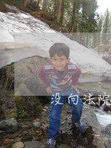 没向法院主张权利 没向法院主张权利