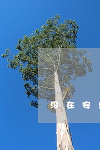 没在安乐花借钱却收到逾期短信 没在安乐花借钱却收到逾期短信