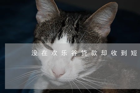 没在欢乐谷贷款却收到短信逾期 没在欢乐谷贷款却收到短信逾期