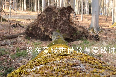 没在爱钱进借款有爱钱进逾期 没在爱钱进借款有爱钱进逾期