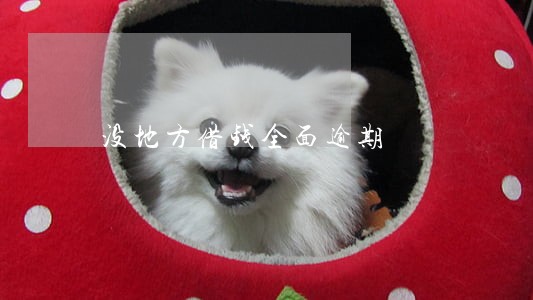 没地方借钱全面逾期 没地方借钱全面逾期