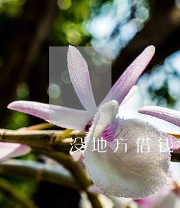 没地方借钱面临全面逾期怎么办 没地方借钱面临全面逾期怎么办