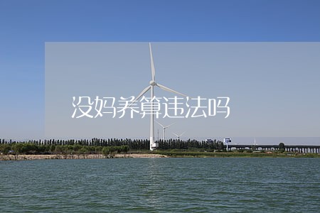 没妈养算违法吗