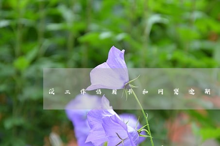 没工作信用卡和网贷逾期怎么处理