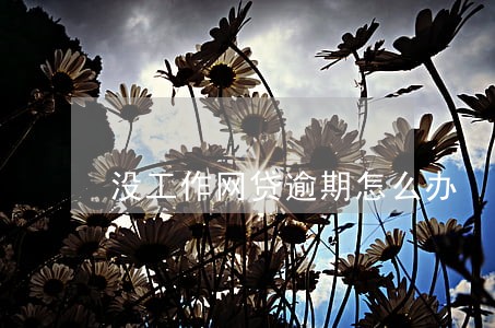 没工作网贷逾期怎么办 没工作网贷逾期怎么办