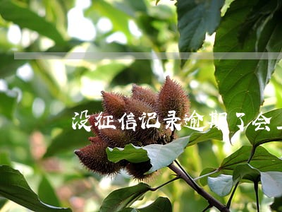 没征信记录逾期了会上吗 没征信记录逾期了会上吗