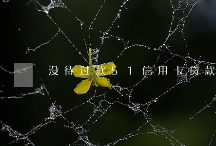 没待过款51信用卡贷款逾期