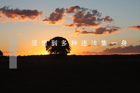 没想到多种违法集一身 没想到多种违法集一身