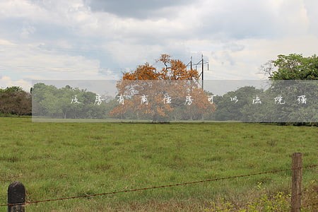 没房有商住房可以法院强制执行 没房有商住房可以法院强制执行