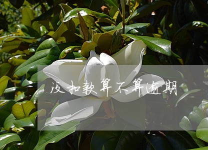没扣款算不算逾期 没扣款算不算逾期