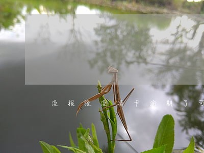 没报税没清卡逾期了可以开票吗 没报税没清卡逾期了可以开票吗
