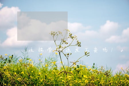 没按劳动法发工资吗/2023021003507