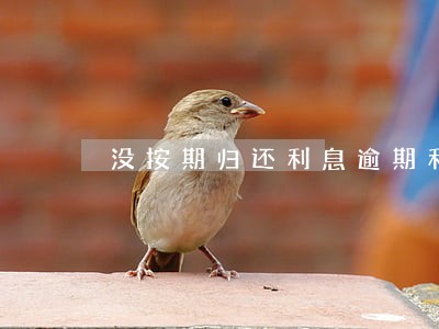 没按期归还利息逾期利息 没按期归还利息逾期利息
