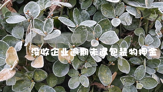 没收企业逾期未退包装物押金