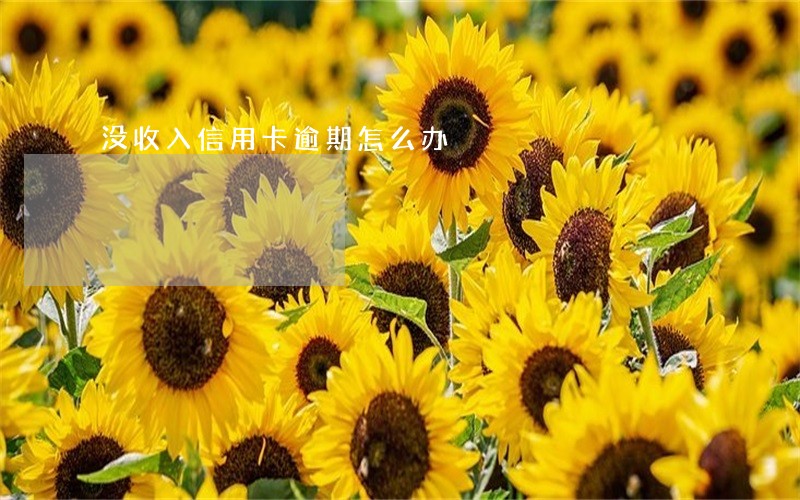 没收入信用卡逾期怎么办 没收入信用卡逾期怎么办