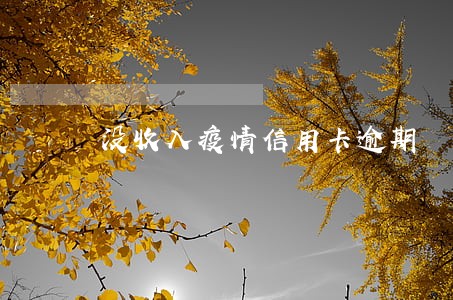 没收入疫情信用卡逾期