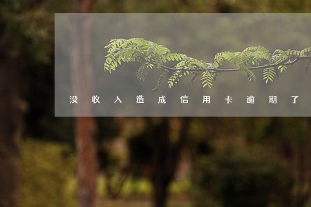 没收入造成信用卡逾期了 没收入造成信用卡逾期了