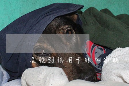 没收到信用卡账单逾期 没收到信用卡账单逾期
