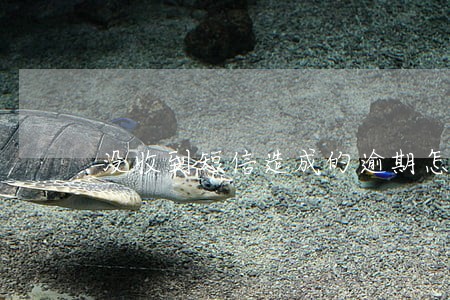 没收到短信造成的逾期怎么办