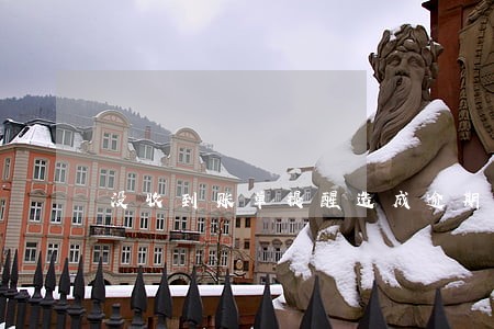 没收到账单提醒造成逾期