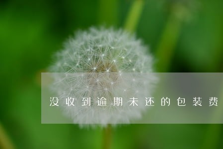 没收到逾期未还的包装费押金 没收到逾期未还的包装费押金