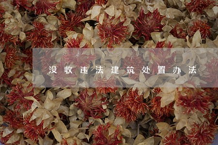 没收违法建筑处置办法 没收违法建筑处置办法