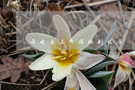 没收违法所得特别程序 没收违法所得特别程序