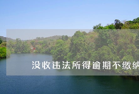 没收违法所得逾期不缴纳