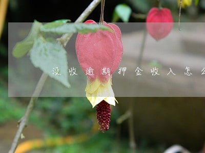 没收逾期押金收入怎么计算 没收逾期押金收入怎么计算