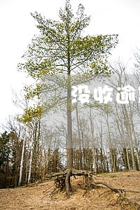 没收逾期未退还包装物押金计算