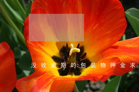没收逾期的包装物押金求增值税 没收逾期的包装物押金求增值税