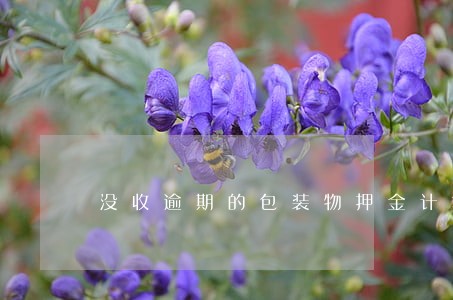 没收逾期的包装物押金计算 没收逾期的包装物押金计算