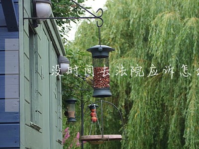 没时间去法院应诉怎么办
