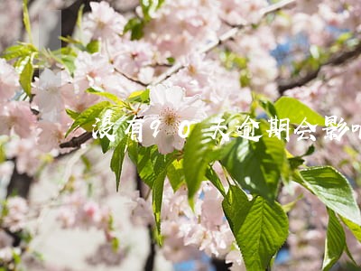 没有90天逾期会影响购房贷款 没有90天逾期会影响购房贷款
