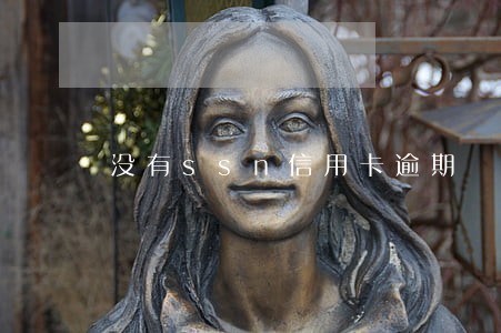 没有ssn信用卡逾期 没有ssn信用卡逾期