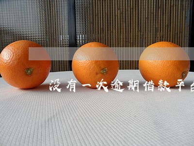 没有一次逾期借款平台不给借 没有一次逾期借款平台不给借