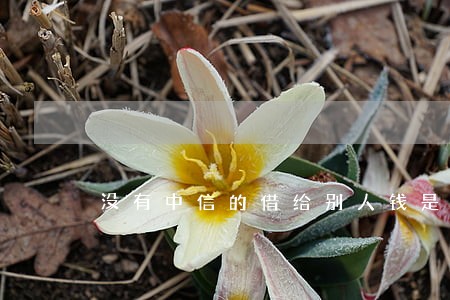 没有中信的借给别人钱是违法行为吗 没有中信的借给别人钱是违法行为吗