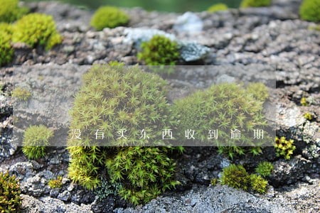 没有买东西收到逾期 没有买东西收到逾期