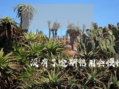 没有了逾期信用会慢慢变好吗