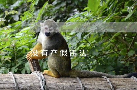 没有产假违法 没有产假违法